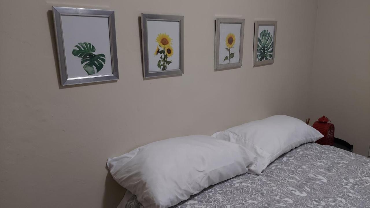 Apartmán Casa Kamanda, Zona Colonial, Santo Domingo Exteriér fotografie